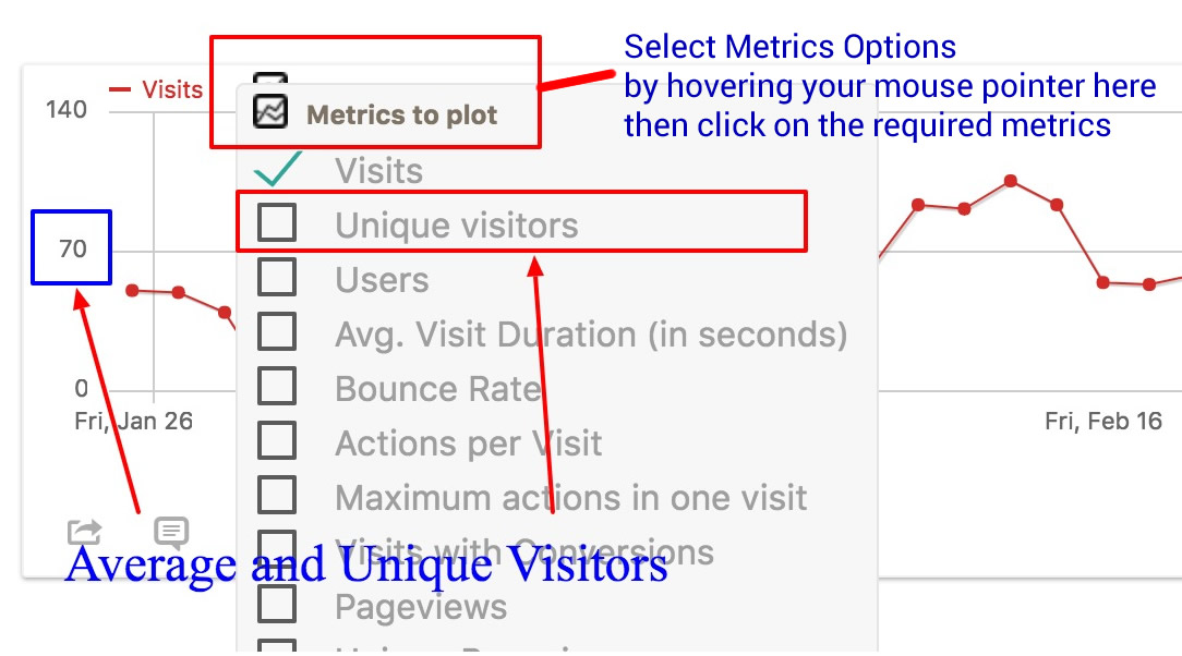 Visitor Metrics Options
